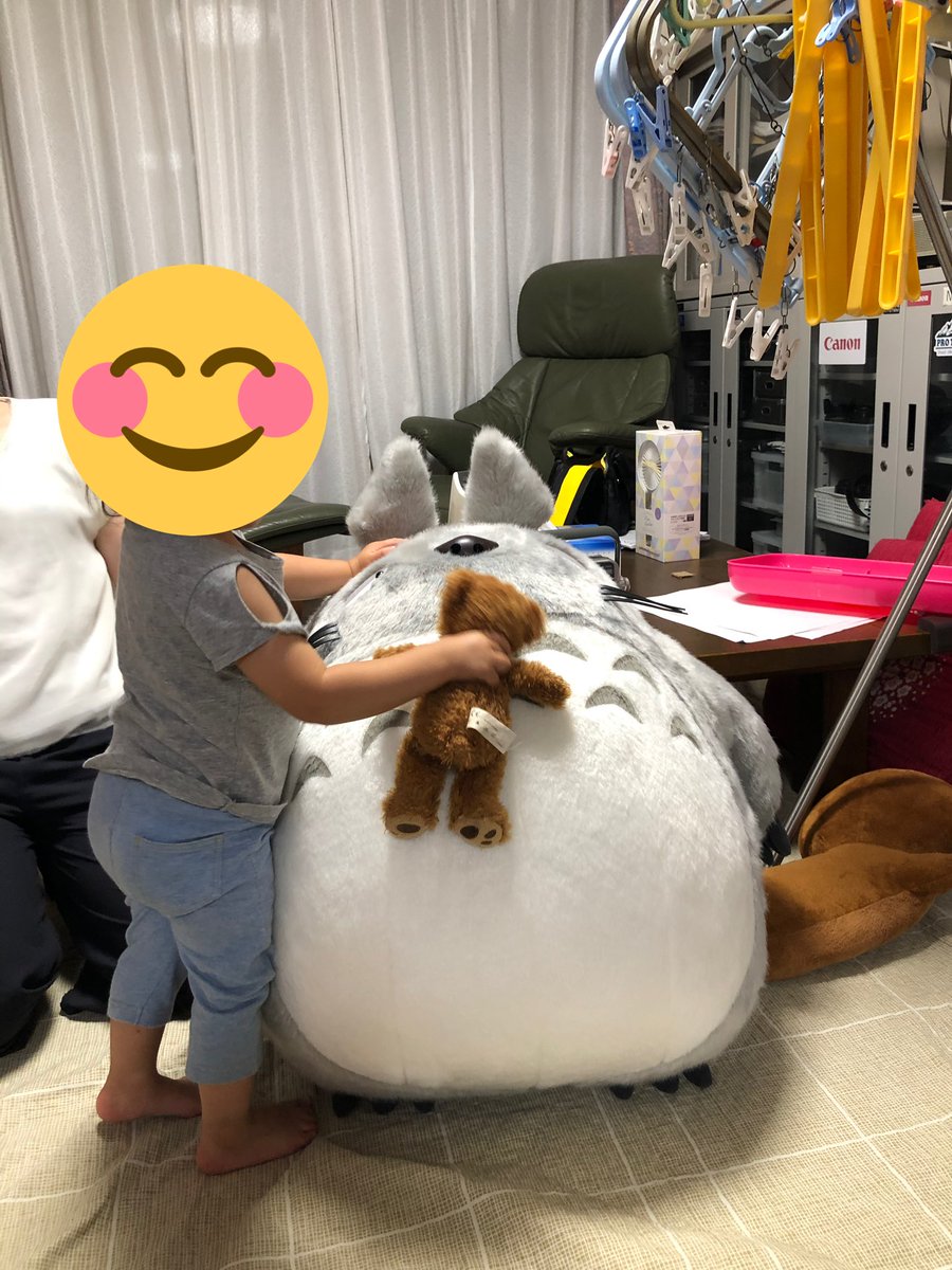 gamertag_sec99's tweet photo. 2歳になった姪っ子にトトロのお昼寝クッションというのをプレゼントしたんだが、予想以上にデカかった https://t.co/KhR50hwwYF
