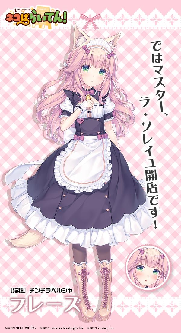 ネコぱら セカイコネクト公式 on X: ネコぱら セカイコネクト公式 on X: