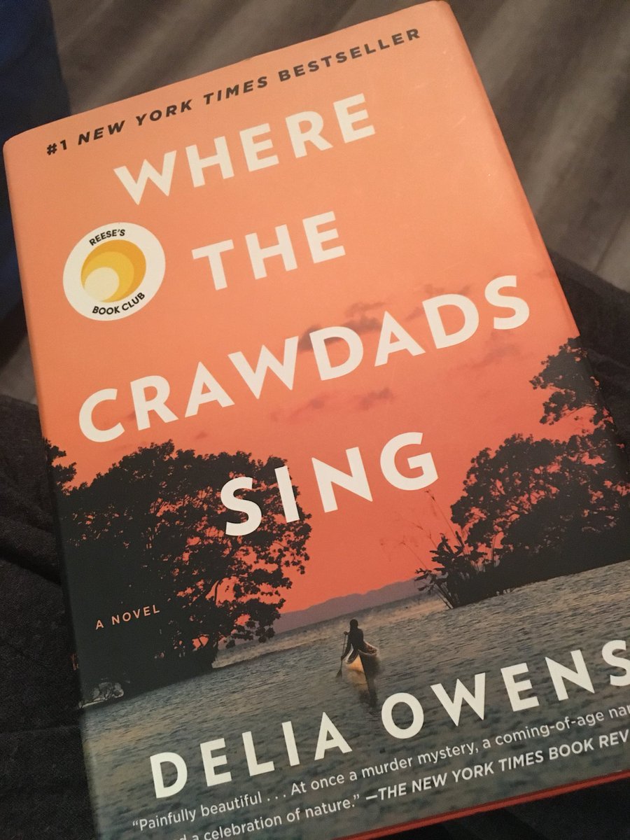 tlbeenblossom's tweet photo. Another summer read in the books!! #lovesummerreading #keptmethinking https://t.co/yncCNCOD7F