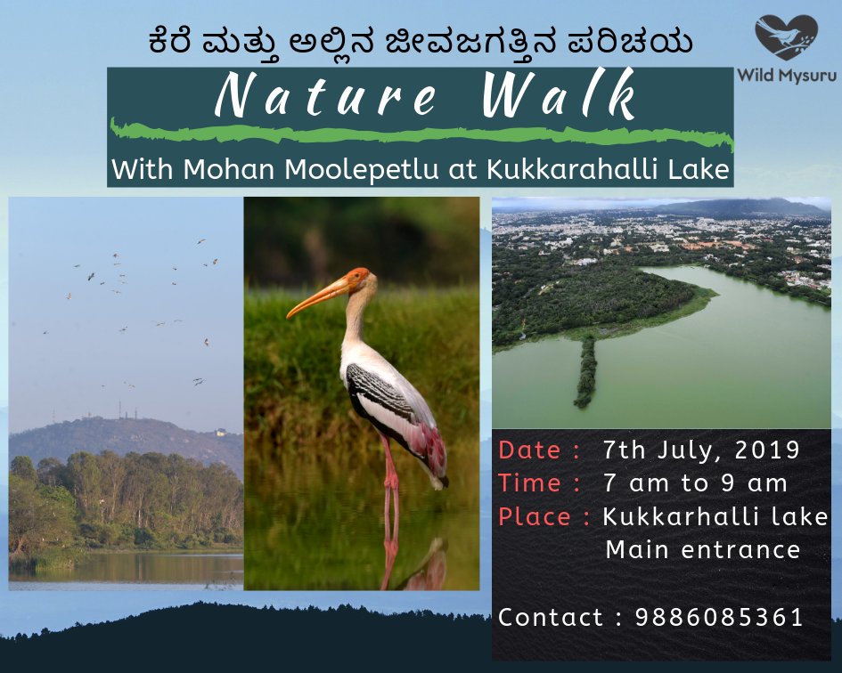 Wild Mysuru tweet media