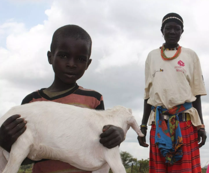 Francois_Roger's tweet photo. Full paper: Identification of #PestedesPetitsRuminants #PPR Transmission Hotspots in the Karamoja Subregion of Uganda for Targeting of Eradication Interventions https://t.co/X2AHMgVP0g
#ParticipatoryEpidemiology #Epidemiology https://t.co/LhRdnN4n0Z