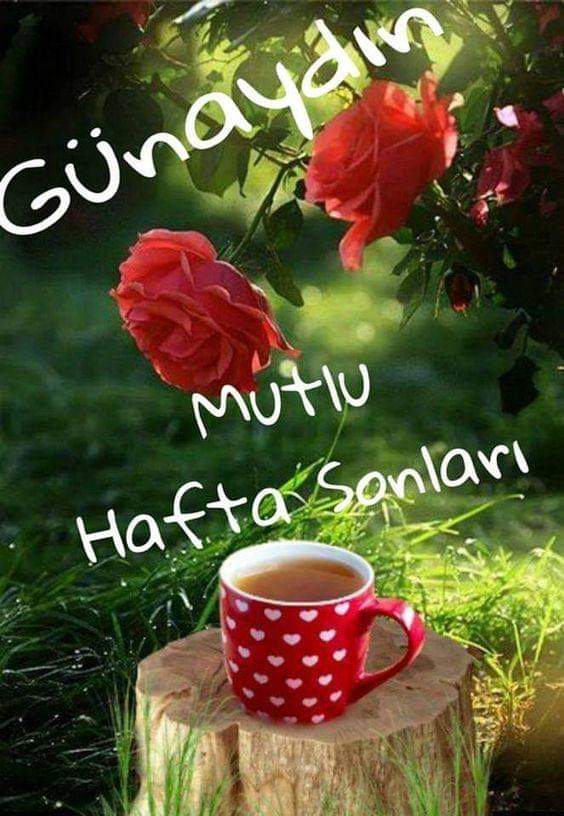 Hikmet (@hikmet26954645) on Twitter photo 