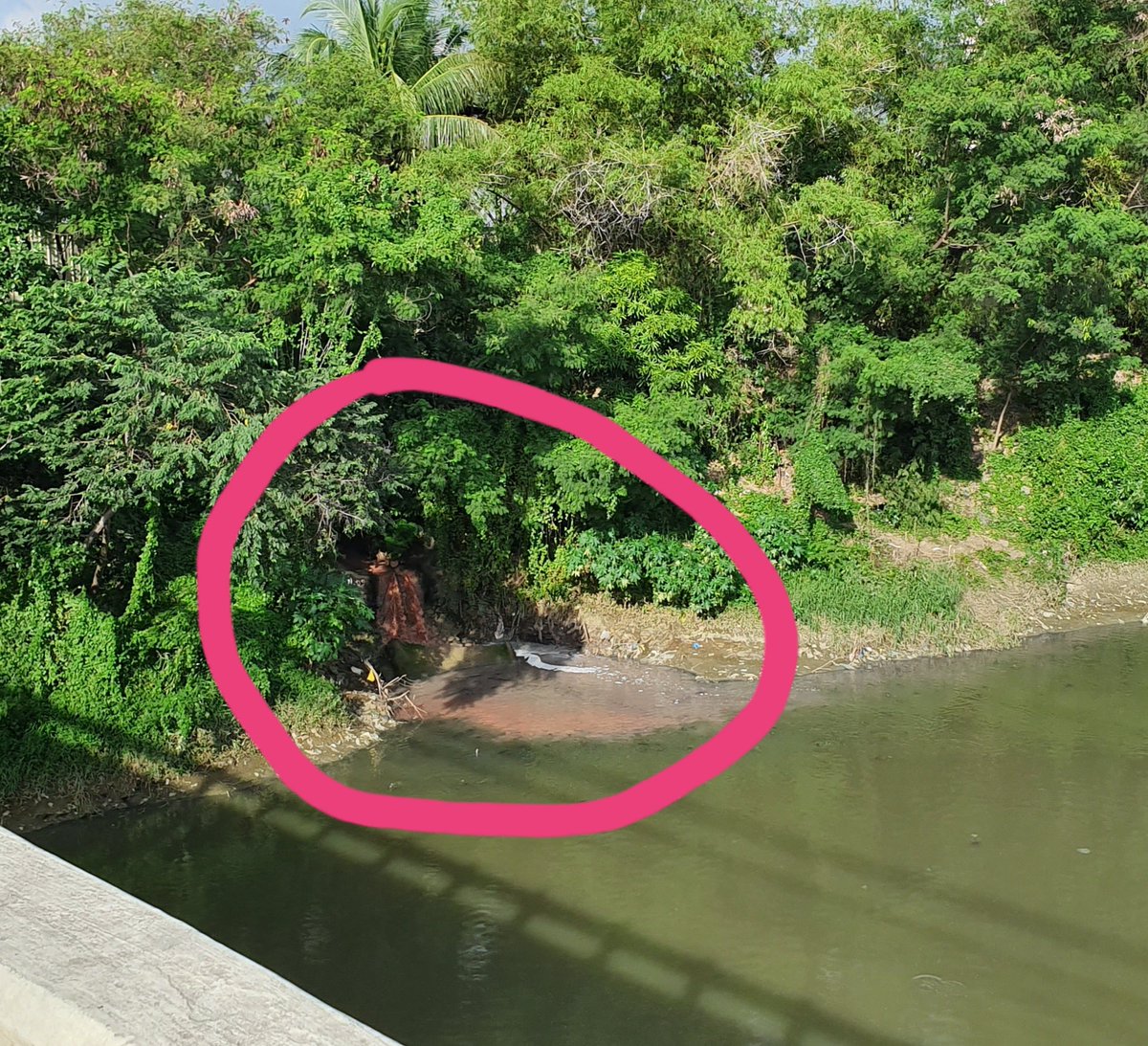 kinneshi's tweet photo. @PasigInfo @PasayPIO is this allowed? Dumping reddish/brownish liquid in the river? Saw this while walking towards Industria from Caruncho road, Manggahan. https://t.co/xslq1aEFAW