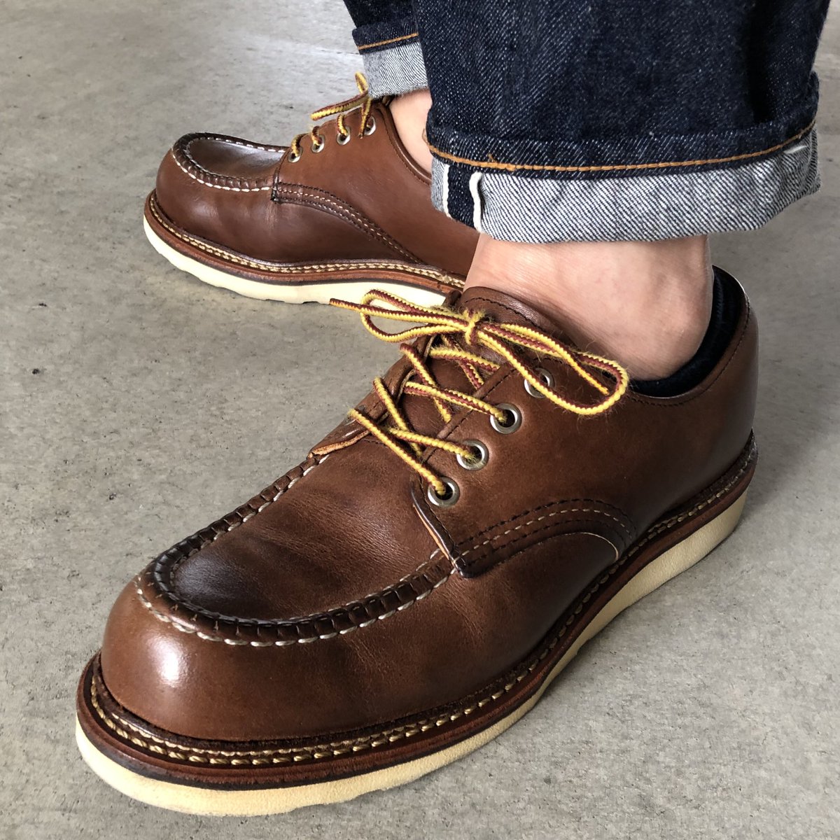 2022年最新春物 レッドウィング 8109 オックスフォード 29cm