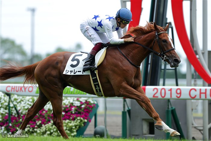 競馬ラボ En Twitter 中京5r 2歳新馬を勝ったのはシャレード 全兄ダノンメジャー Op3勝 半兄ダノンキングダム 現op に続き 兄弟3頭目の新馬勝ちでした 1つ下の半妹 父オルフェーヴル はあさって セレクトセール1日目に上場予定 競馬 Keiba シャレード