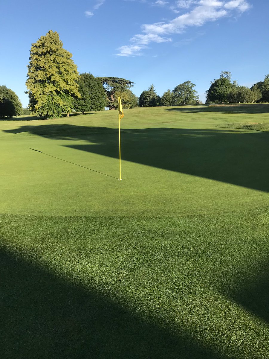 TonyB440's tweet photo. Early start course looking awesome! #captainsday @SaffronWaldenGC @centenaryswgc19 https://t.co/1udrkmkopF