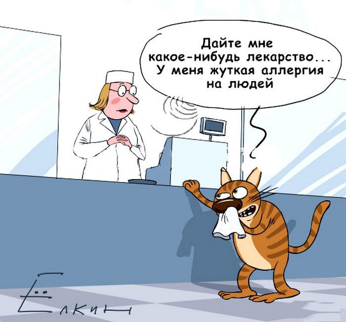 Картинка аллергия прикольная