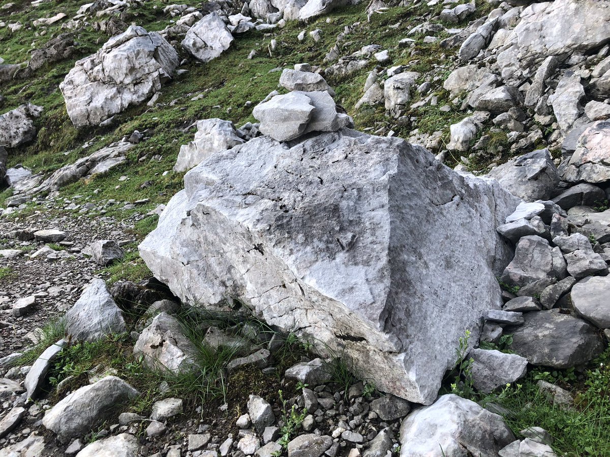 vagramuntflix's tweet image. #OJOALDATO etapa III en las aventuras y los viajes foco en rapidos milestones, hitos ... o como diria @PabloVelasco_ en esta tierra “jitos” en @seidor ponemos siempre foco en el tema @SAPAnalytics 
sapanalytics.cloud y  sapdatawarehouse.cloud #AnalyticsNext