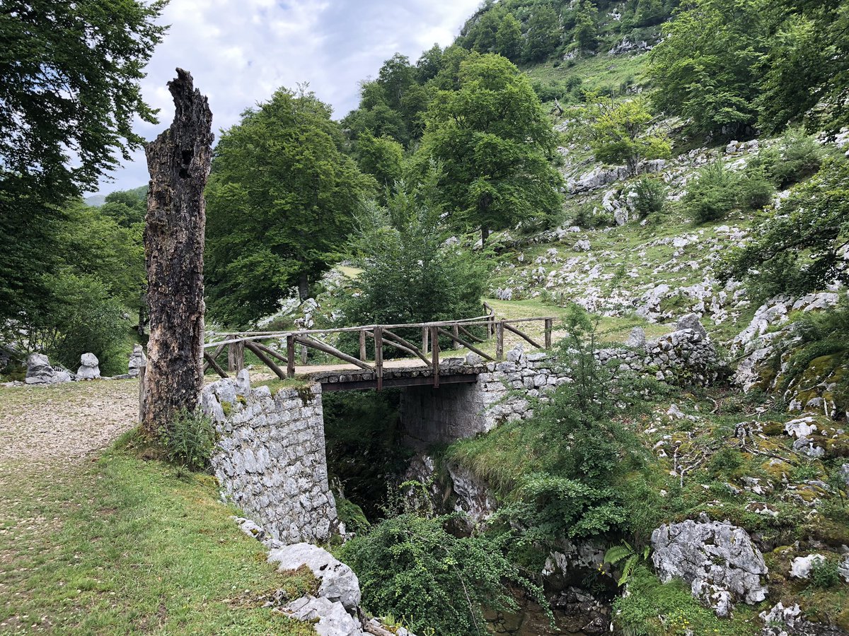 vagramuntflix's tweet image. #OJOALDATO etapa II del viaje: la conectividad es crucuial, simplemente todos los datos tienen q llegar a todos los usuarios
a nuestra manera en
@seidor mas de 170 conectores de todos los tipos con @SAPAnalytics 
sapanalytics.cloud y  sapdatawarehouse.cloud #AnalyticsNext