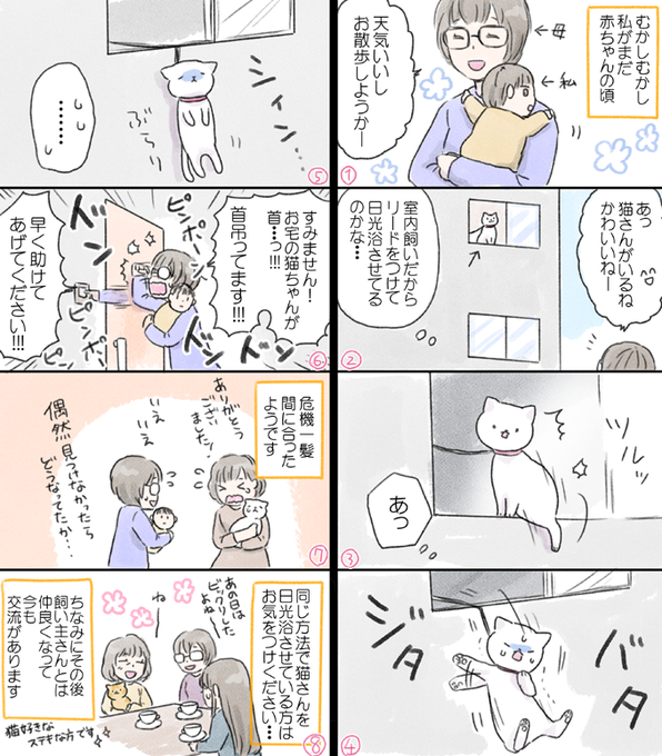 本当にあった事故です！
暖かくなってきたこの時期、同じやり方で猫さんを日光浴させている方はくれぐれもご注意ください…！！
 