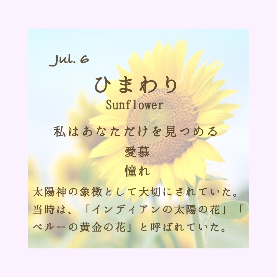 毎日花言葉 Babiesbreath08 Twitter