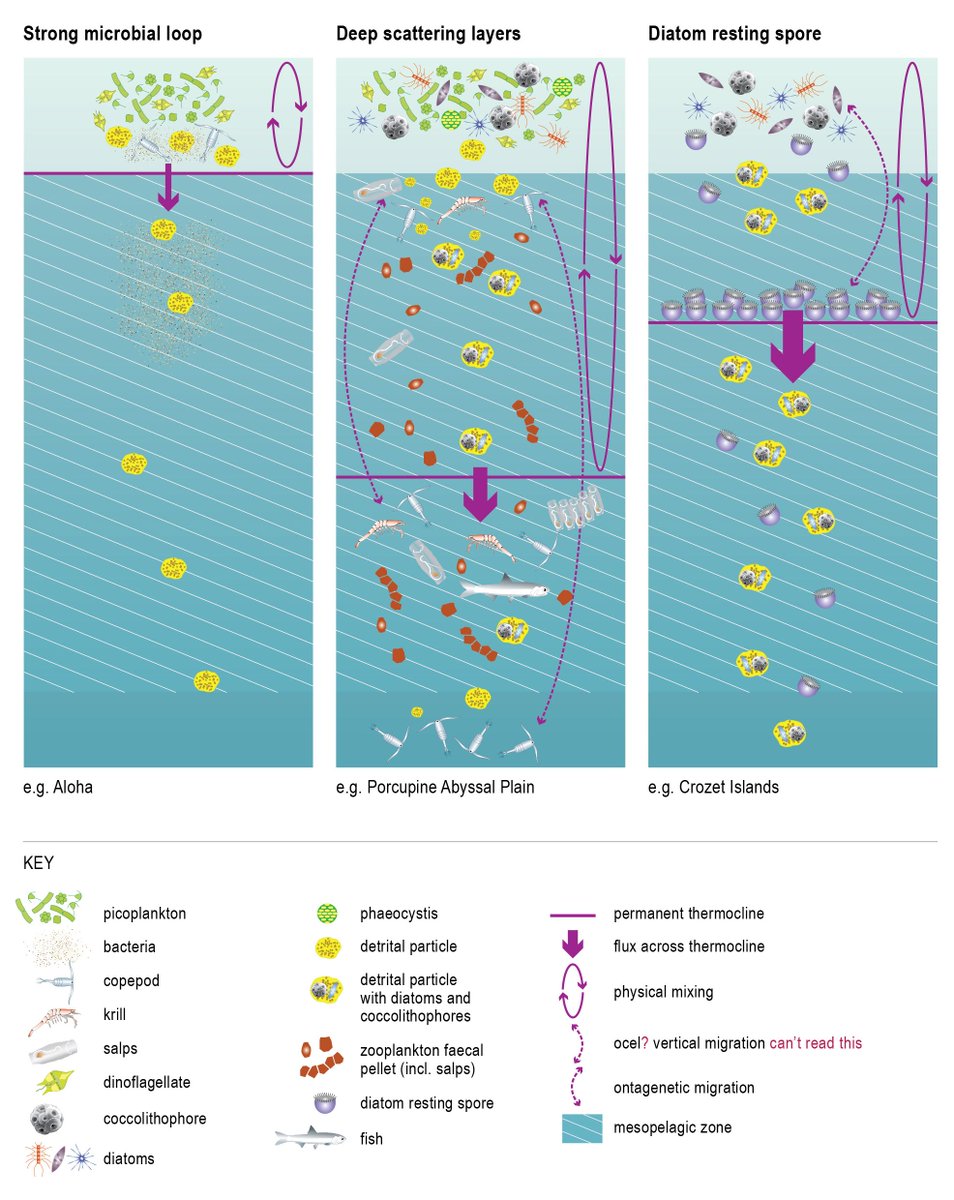 design and evaluation of physical protection systems