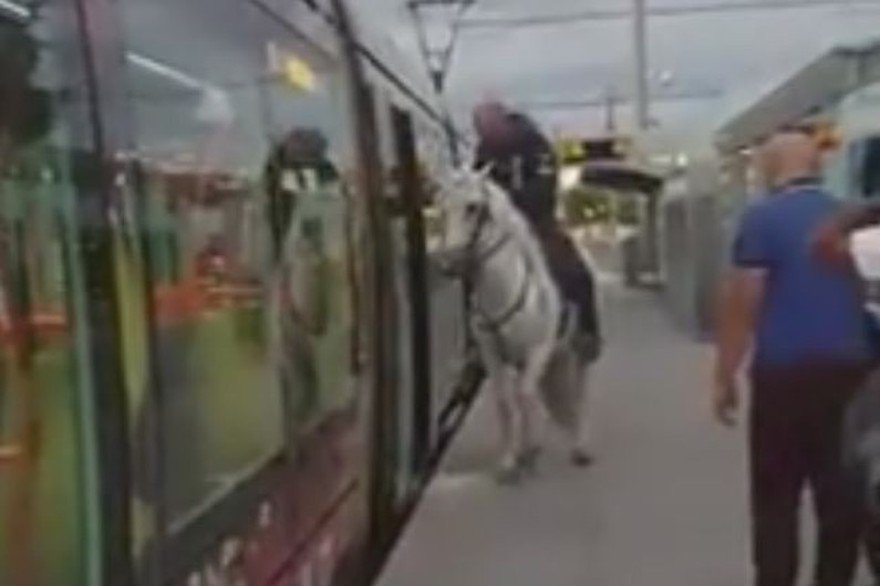 Quand le parking d'occitanie est full.