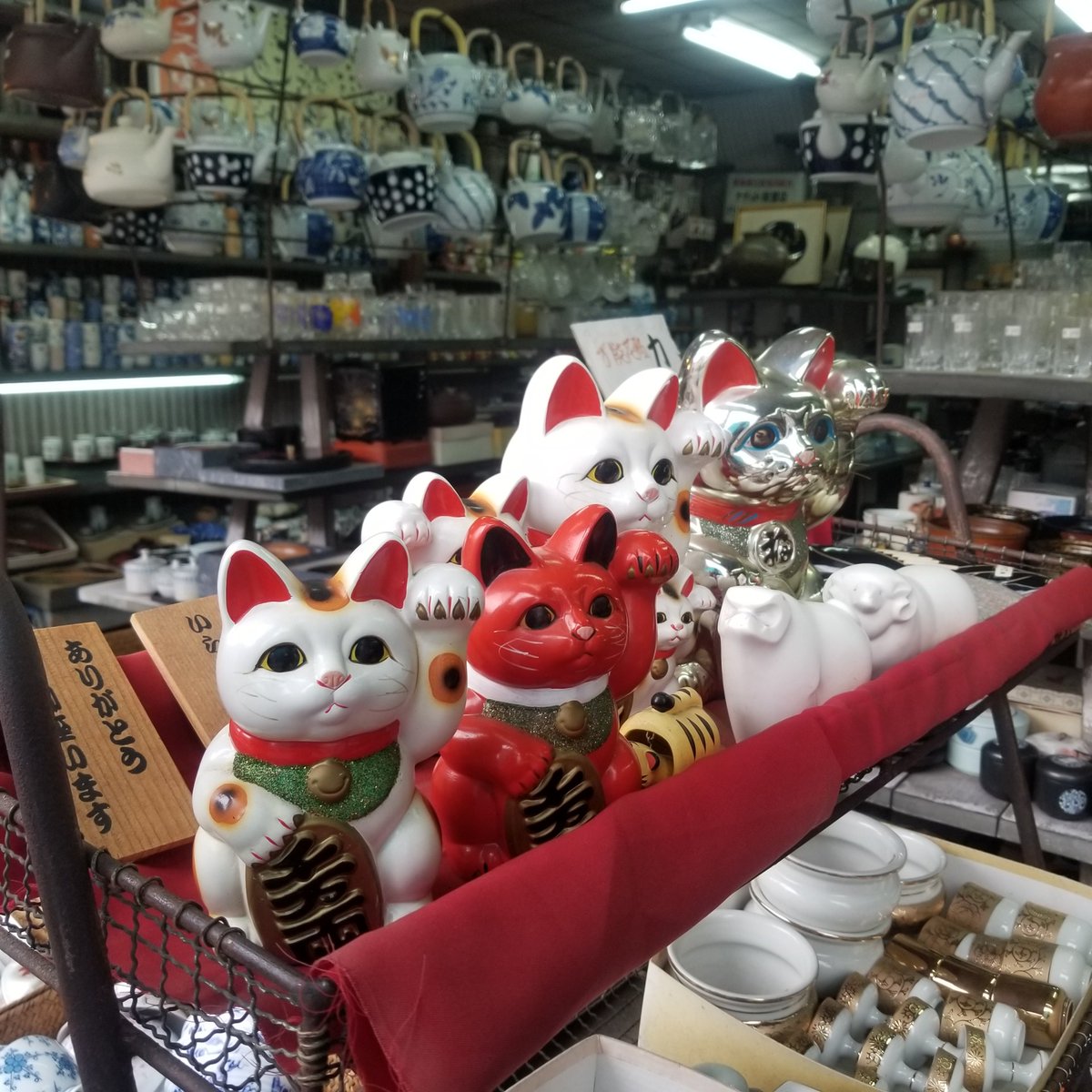 Masa11087's tweet photo. 招き猫
#おうめねこさがし #FSおうめ #IngressFS #Ingress https://t.co/GG8mPexsOp