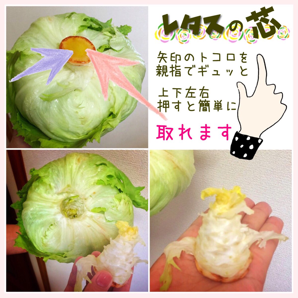 まい Ellemai きこえますか みなさん あなたの 心に 直接 呼びかけています レタスは 芯に つまようじを 刺すのでは ありません 抜くのです 芯を 押して 抜くのです 長持ち です 穴には 濡らした キッチンペーパーを 詰めるのです さらに 長持ち