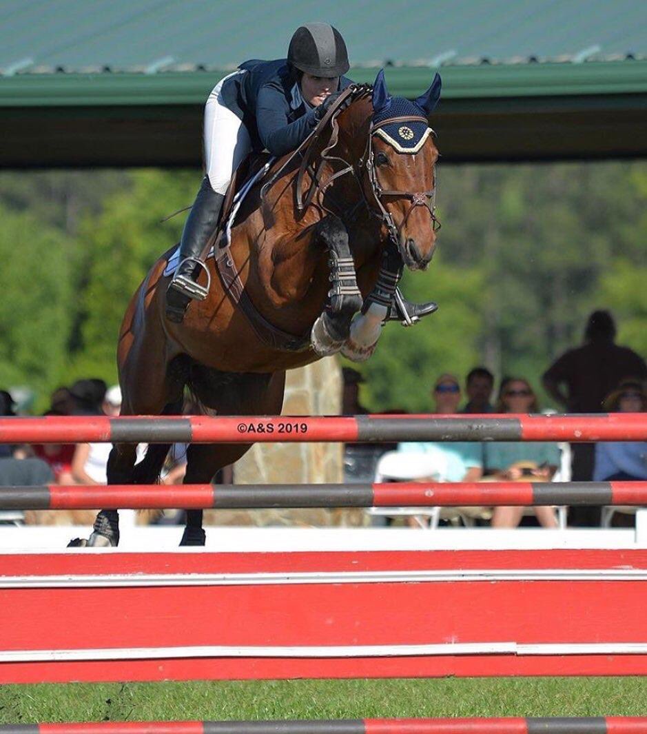 comfy_horse's tweet image. MDC Stirrups help you fly!!😉#mdcstirrups #intelligentstirrups #forwardfacing #worldleader #comfyhorseco