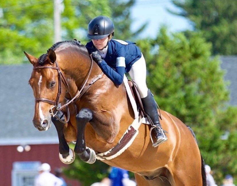 comfy_horse's tweet image. MDC Stirrups help you fly!!😉#mdcstirrups #intelligentstirrups #forwardfacing #worldleader #comfyhorseco