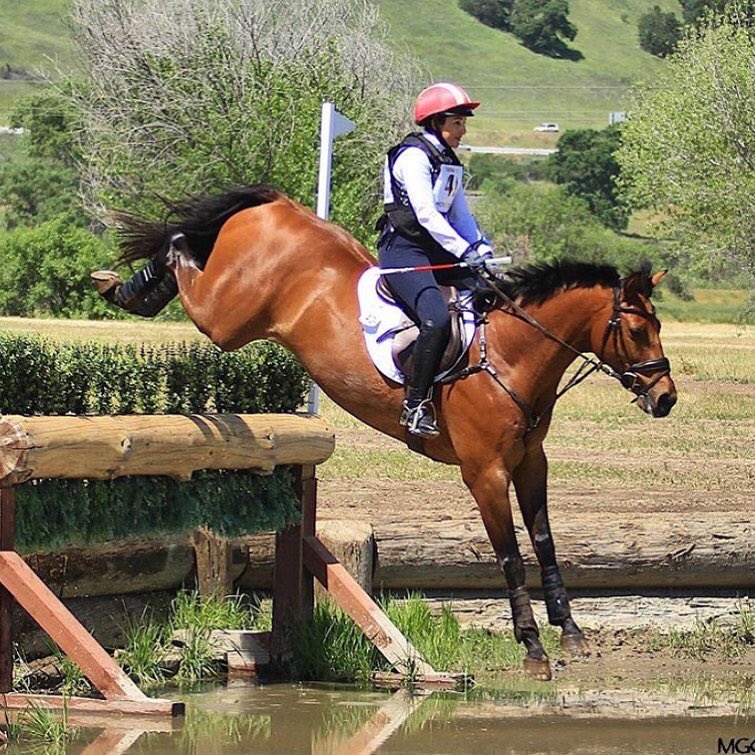 comfy_horse's tweet image. MDC Stirrups help you fly!!😉#mdcstirrups #intelligentstirrups #forwardfacing #worldleader #comfyhorseco