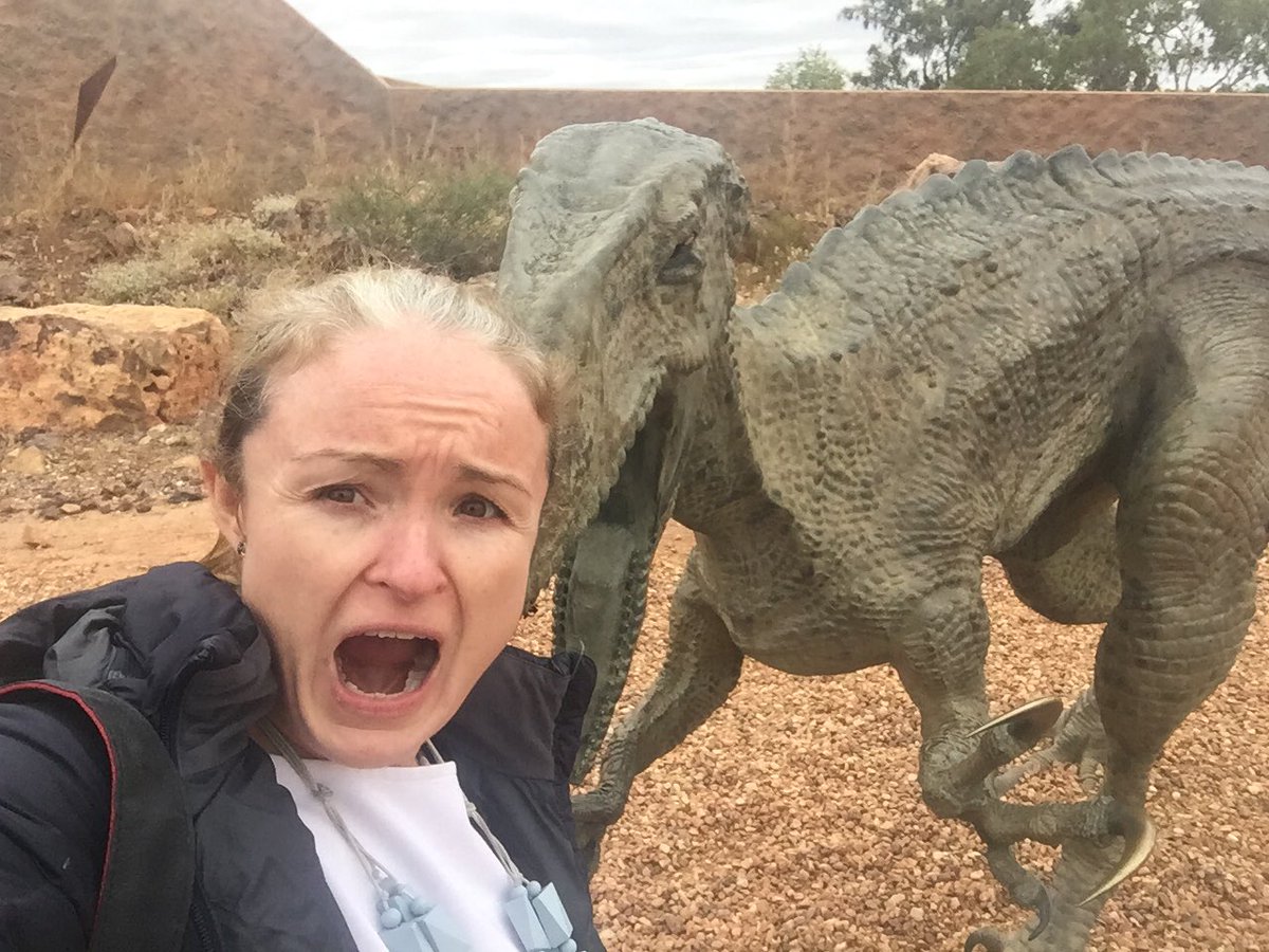 PlushSally's tweet image. Help I am being eaten by Australovenator Wintonensis (Banjo) @AAOD_QLD a fabulous place to learn about our fav Oz Dino’s. When I retire you will find me in Winton cleaning Dino bones. #ozdinosuars #lovefossils