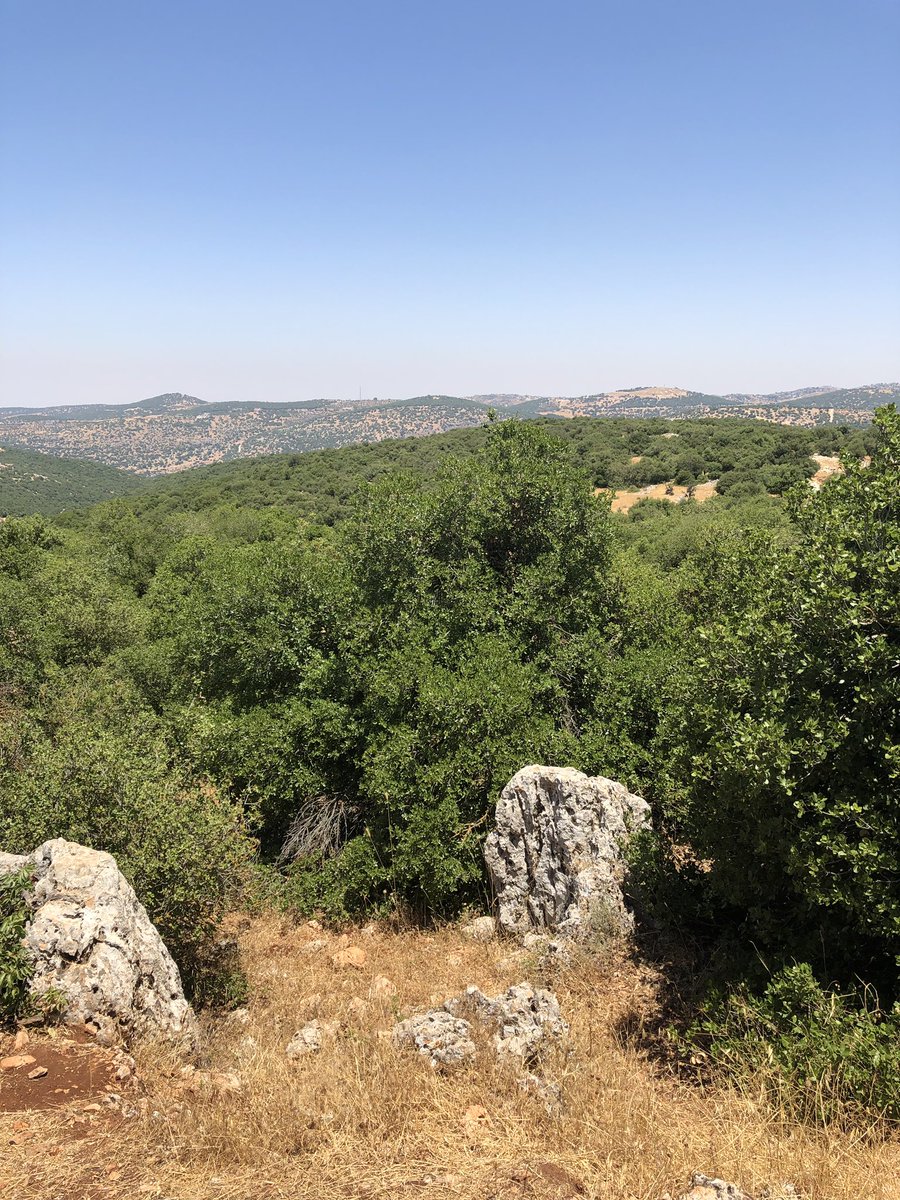 Suneh's tweet photo. Beautiful Jordan #jordan#summervacation#ammankidsactivities#hiking https://t.co/IZTlPTlUwd