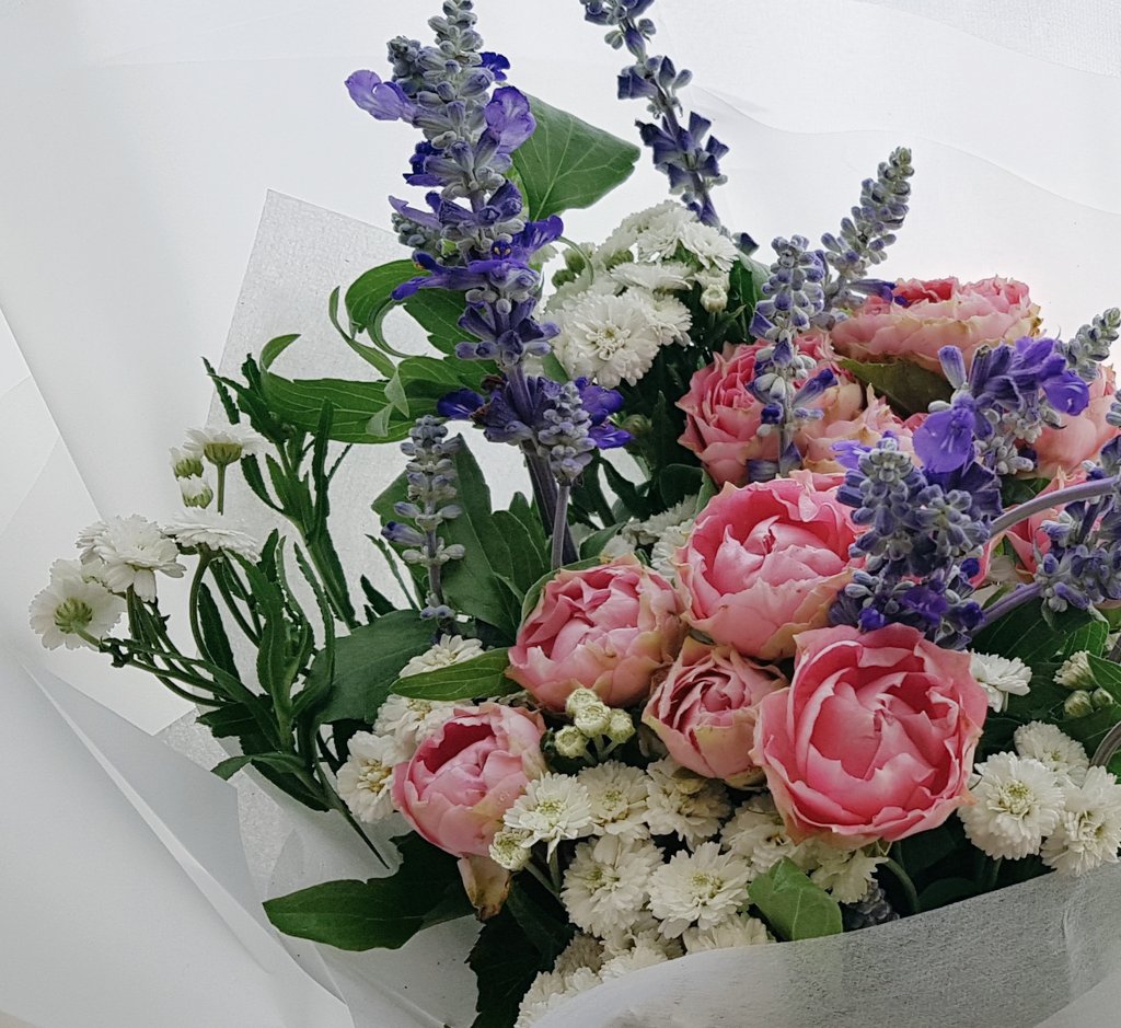 신품종 장미인데 진짜진짜 빈티지하고
예쁜 미니장미에요
아직 이름없이 유통만 되고있는데
어떤이름으로 정착될지 기대되요☺️