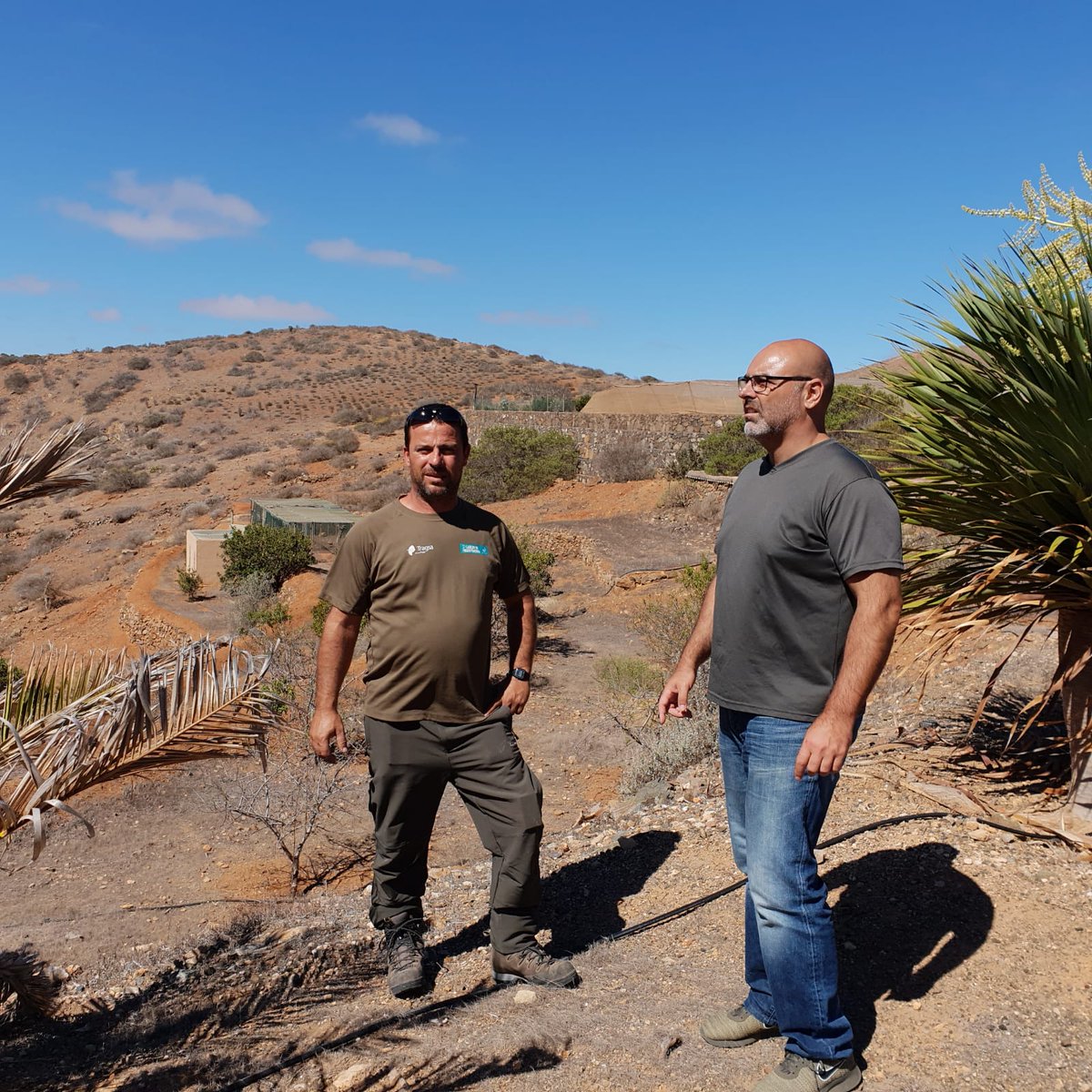 Jonathan Gil #Fuerteventura plantea acciones para la gestión sostenible de especies  cinegéticas compatible con  el cuidado del medio natural majorero <a href="/lolagarciamar1/">Lola García Martínez</a> facebook.com/CabildodeFuert…