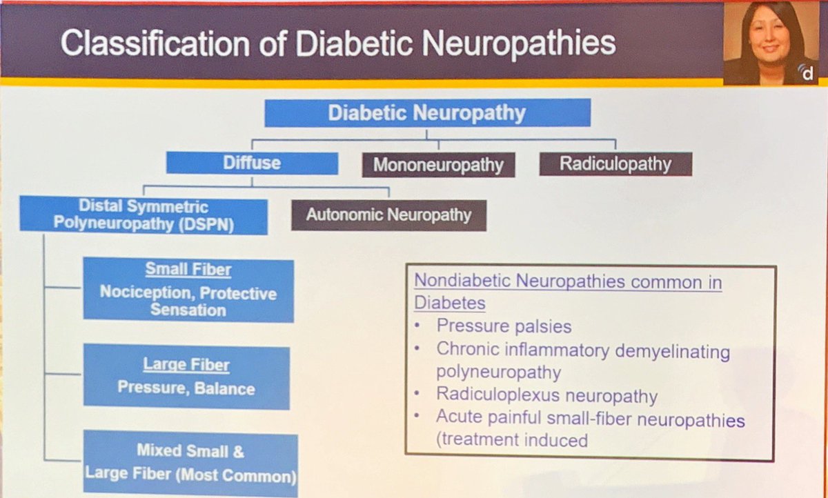 redGDPS's tweet image. #ADA2019 #BestofAdaSpain19 

Diabetic Neuropathy: A Position Statement by the American Diabetes Association
 
Rodica Pop-Busui et al . Diabetes Care 2017

care.diabetesjournals.org/content/40/1/1…

@risingstarsgdps @SemergenGTDM @SEDiabetes