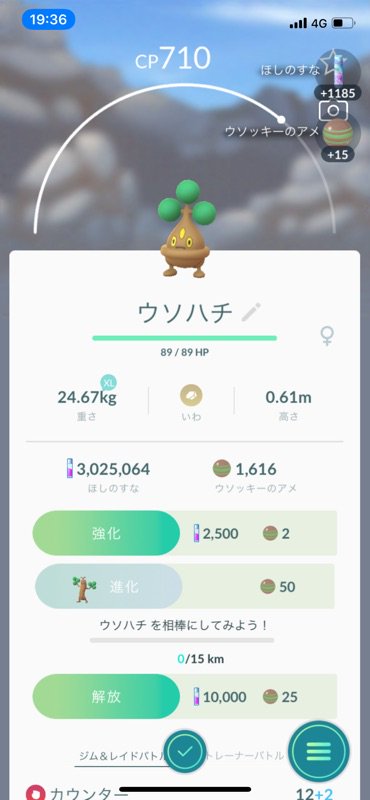 じゃばうぉっく 不眠症 今日タマゴから孵化したポケモンたち 二匹目のウソハチ あんまり嬉しくないですね ウソッキーに進化するってもなあ ポケモンgo