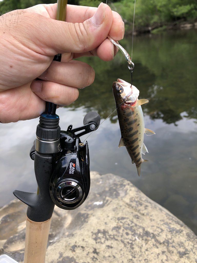 松 Complete 19 7 6 ニセコ 尻別川 ネイティブトラウトのルアー釣り 大自然のなかでこのような釣りがしたかった すごく楽しいひと時でしたぁ ジェットセッター60c アブ Revo Bf7 Pe0 3lb ナイロン6lb スミス Ar S スプーンドロップダイヤ