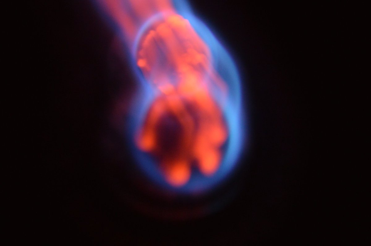 WorldEnlightend's tweet image. 