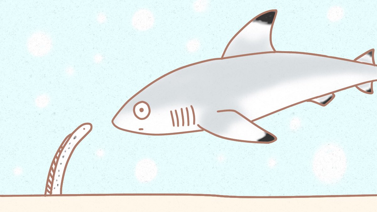 すべての動物の画像 ロイヤリティフリーサメ イラスト ゆるい