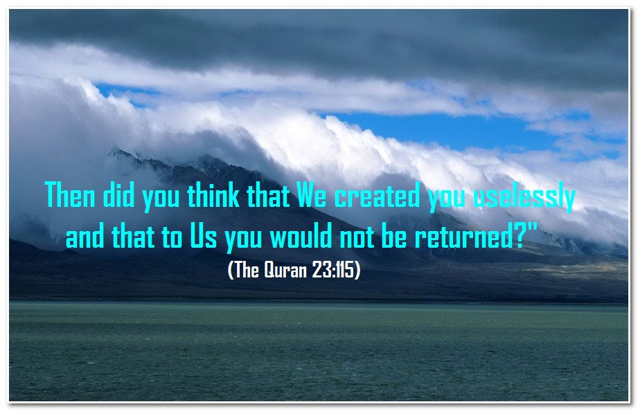 About Islam tweet media