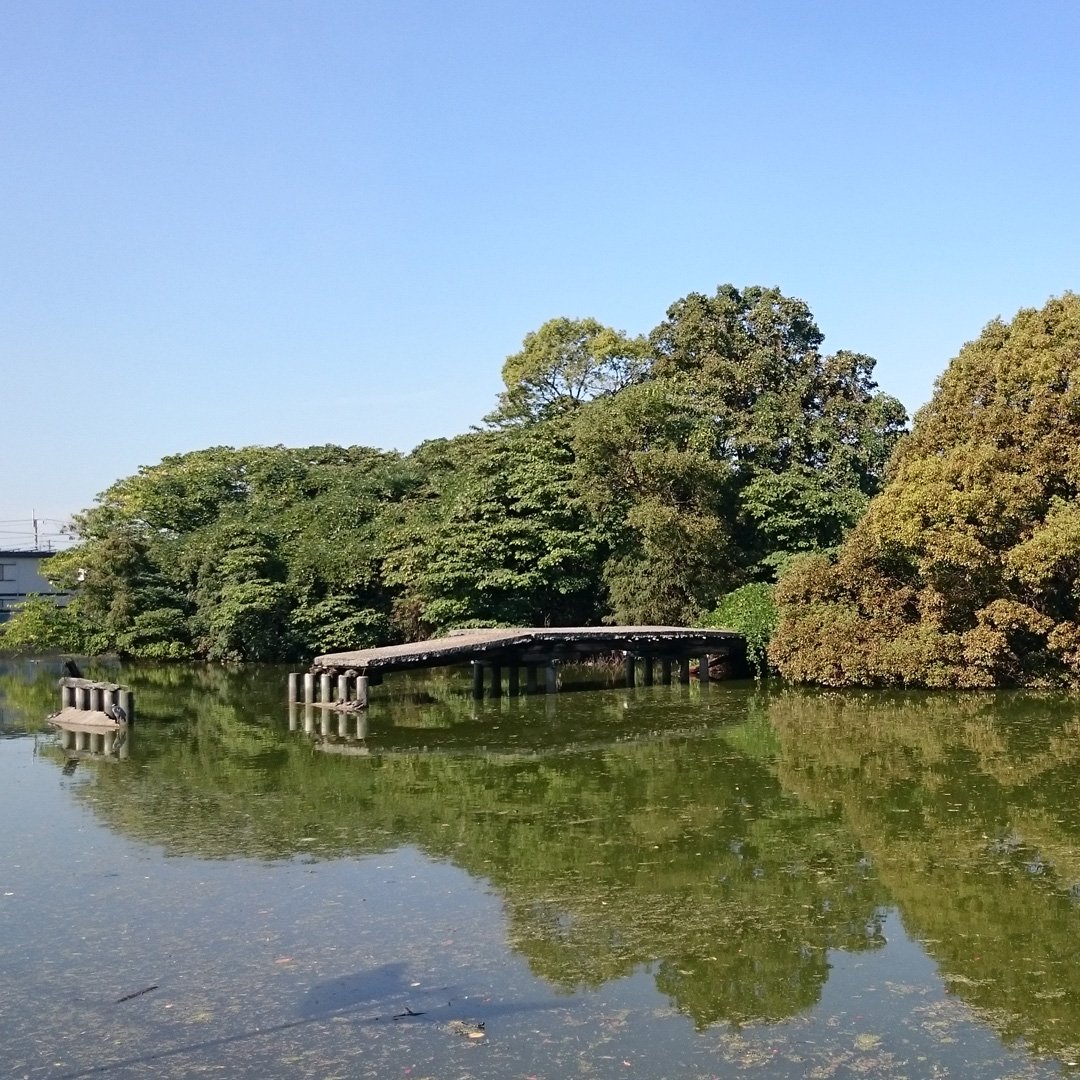 昔、仁徳天皇陵近くに住んでいたので、世界遺産登録のニュースはちょっと嬉しい。ラキの話の壊れた橋はいたすけ古墳がモデルです。あの辺りでよく遊んだなぁ。 