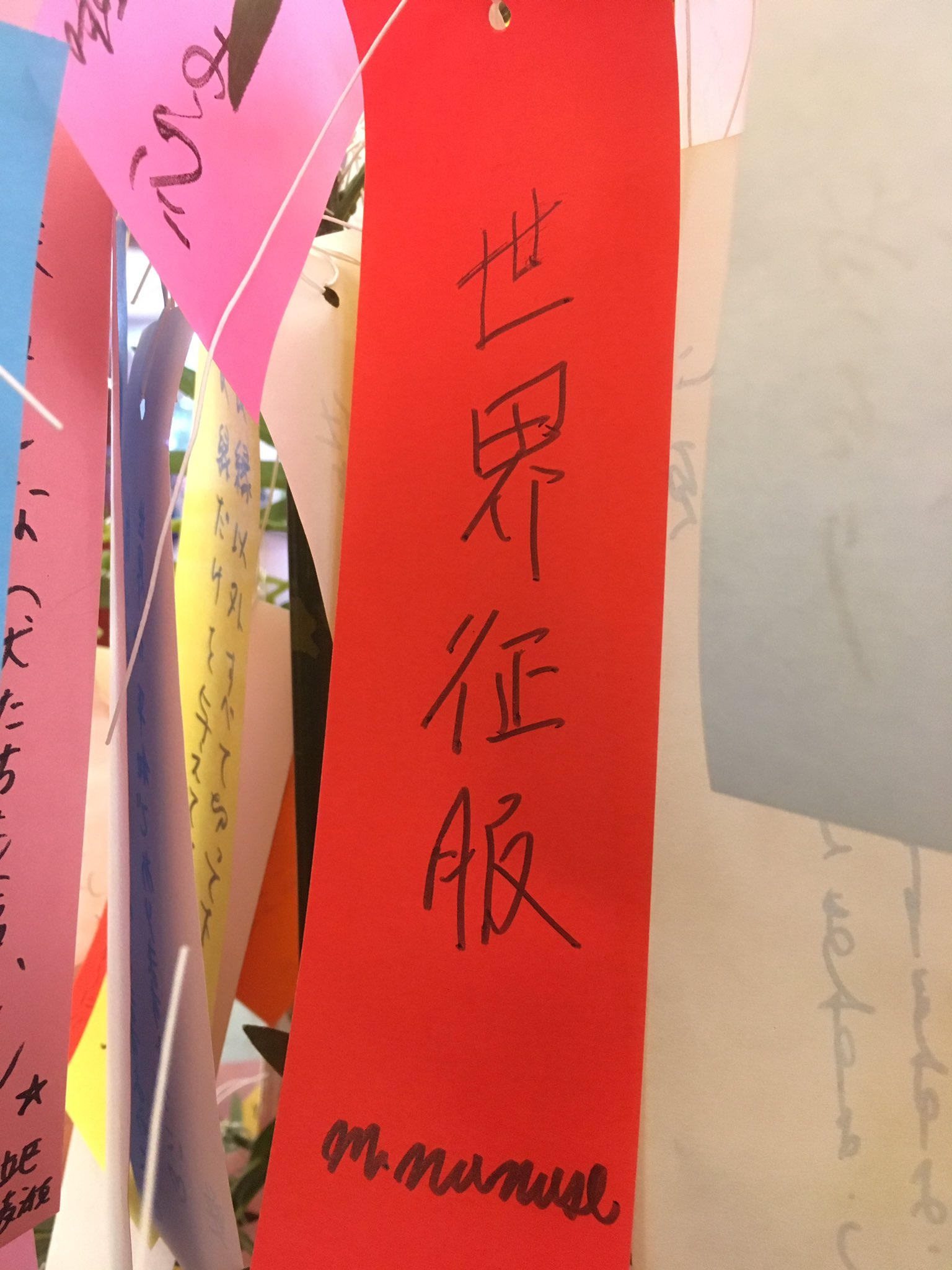 تويتر 七瀬またたび 写真愛好家 على تويتر 歌舞伎座の地下広場に七夕飾りがあったので 短冊に願い事を書いてきた 世界征服 七夕の願い事 七夕 タナボタ T Co Kkqcbehnx8