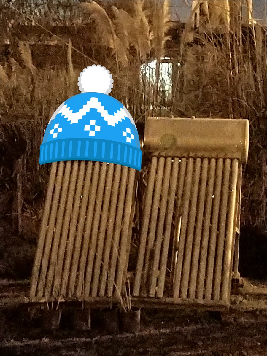 #estefinde creo que en Mercedes cayó una helada