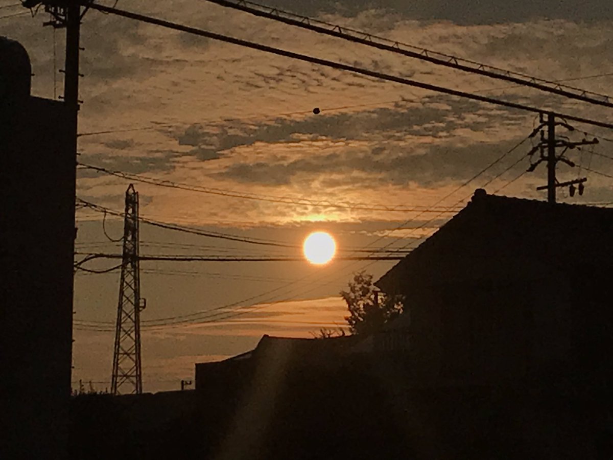 shinji ito tweet media