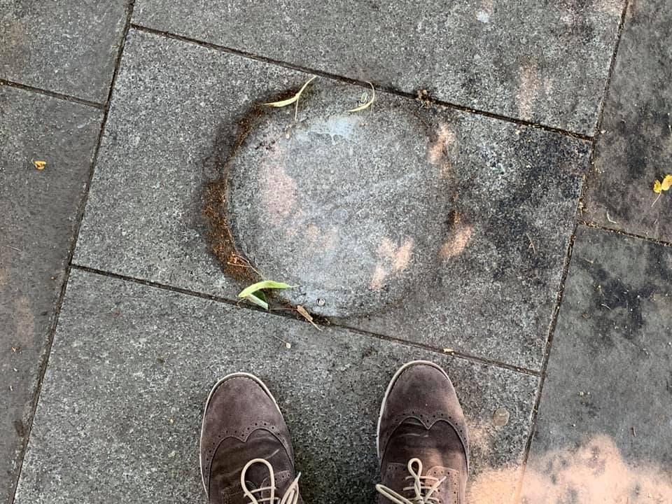 Кандидат на пост губернатора Львівщини Шмигаль очолить Івано-Франківську ОДА - Цензор.НЕТ 9960