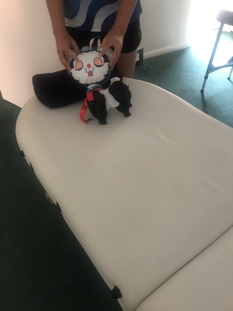 IOWIGswim's tweet photo. @RCooilphysio @IOWIGA @Gib2019 Kipper’s gone for physio!! https://t.co/LiPhOh0DHb