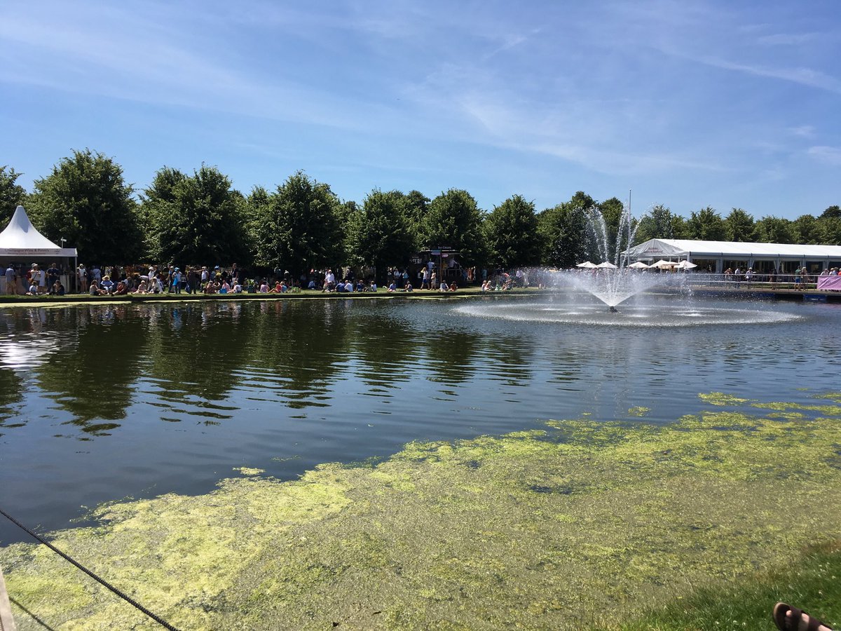 jennyepenn's tweet photo. Final two days to enjoy #RHSHampton Court Palace Garden Festival. From amazing #flowers &amp; #gardens, floral inspiration, music, #bughunts or chill out at the Long Water &amp; escape the #heat - we’ve got it all! ⁦@The_RHS⁩ https://t.co/l5zS7K14C8