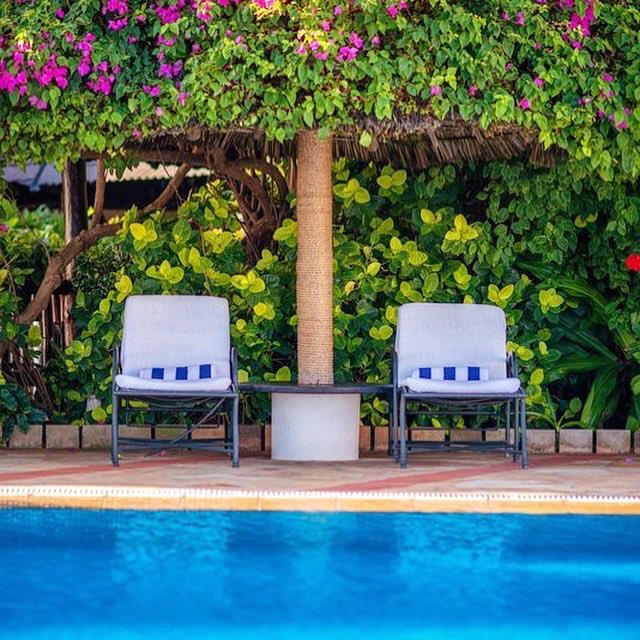 SeaCliffDar's tweet photo. Hello weekend 🥳
Hello Sun ☀️
Hello Funtime 🎉
#enjoy #weekend #sun #fun #family #friends #pool #love #chill #seacliffhoteldar #tanzania🇹🇿 #ilovedar https://t.co/i1Gp6DqJSx