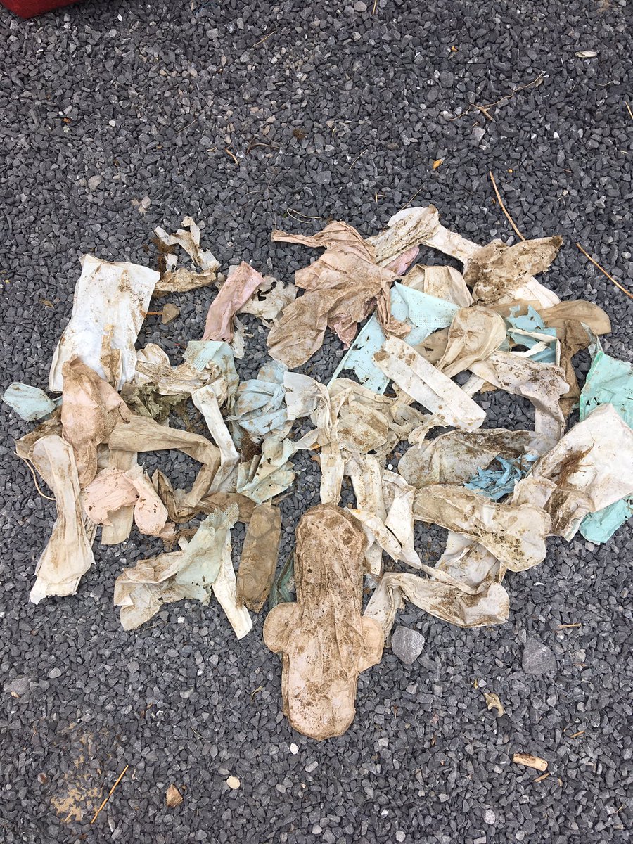 56 sanitary towels picked up on this mornings #2minutebeachclean - we really need #plasticfreeperiods ASAP! @ecoelleuk