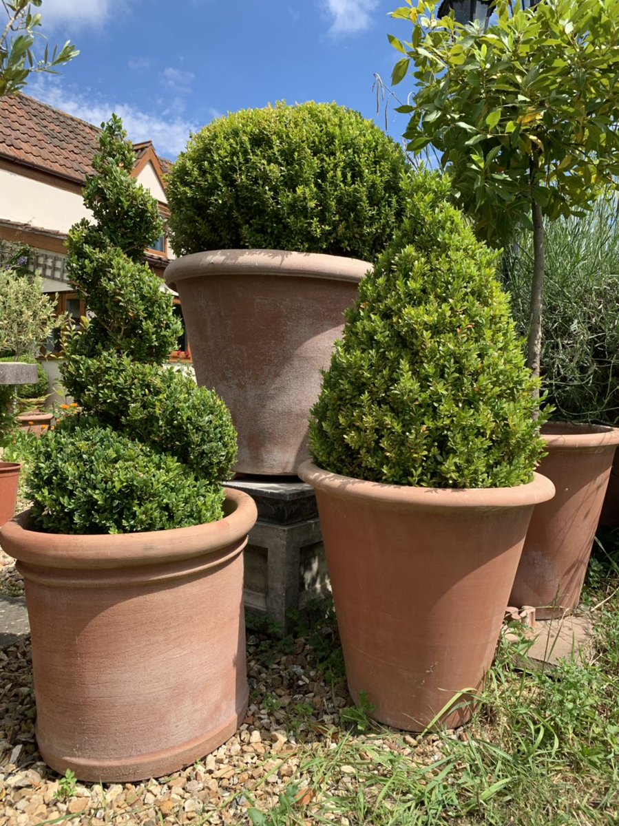 Handmade Italian terracotta planters 👌