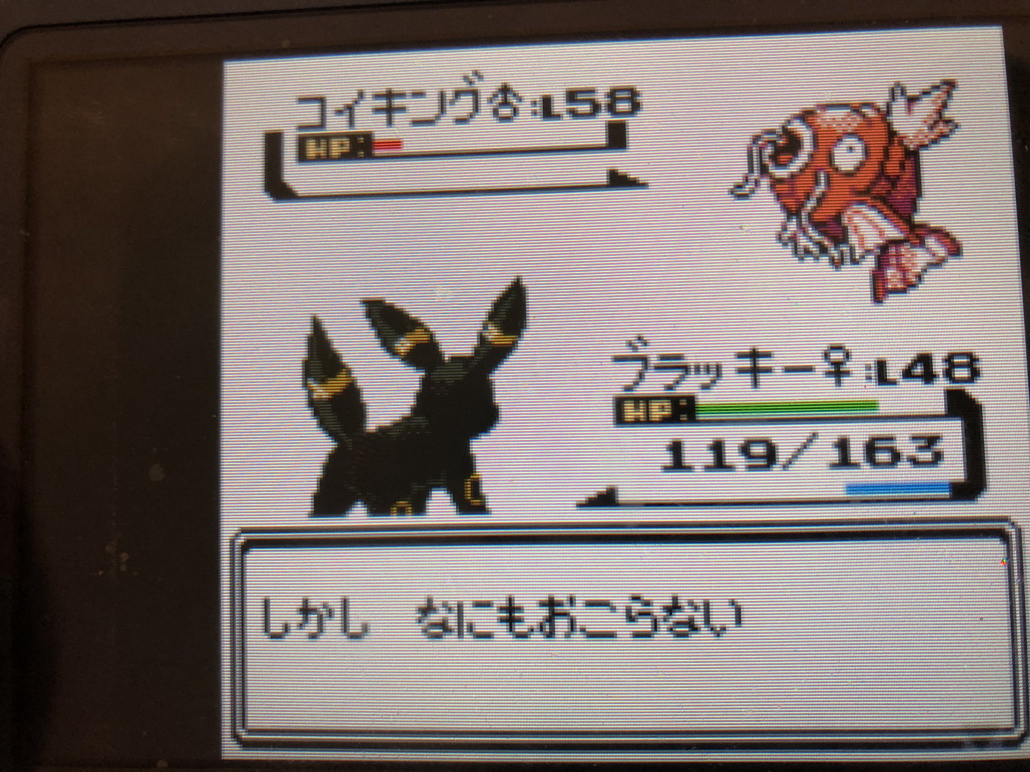 ブラックtree ふぁっ ただの通りすがりのトレーナーが持ってるポケモンが ポケモン金銀クリスタル レベル高い コイキング T Co 8wvlxhle1b Twitter