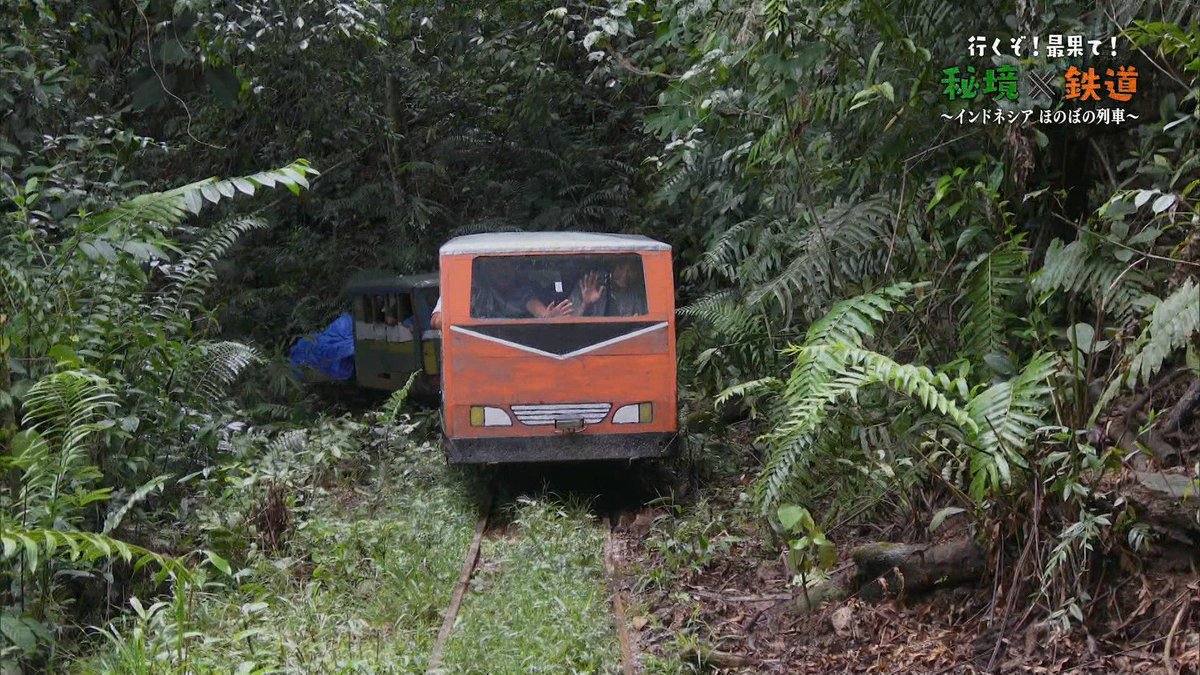 しんしてい 帰宅 インドネシアの軽便鉄道 廃線かよ