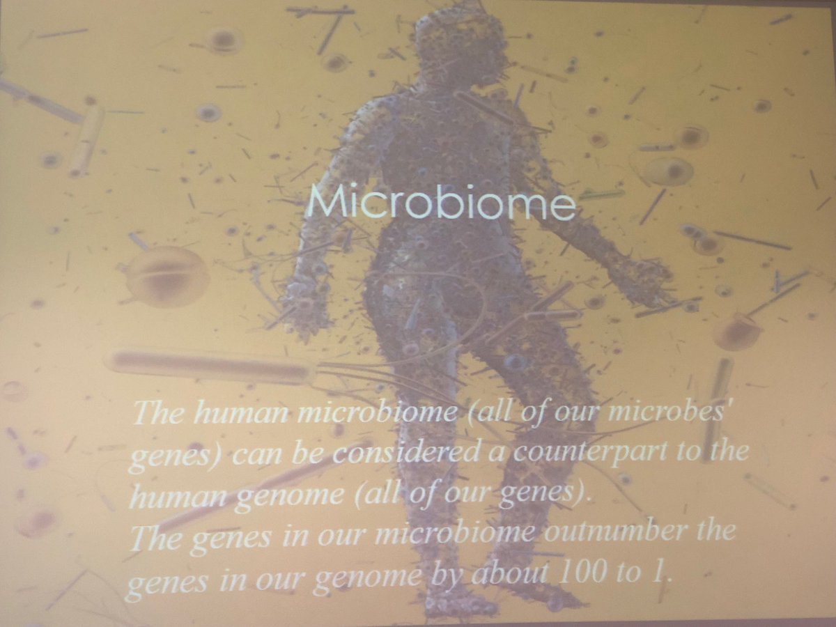 Shanienash's tweet image. Gut microbiota effects the functioning of our brains. Can we treat mental health by simply changing gut bacteria? #atpconference2019 #atpconference