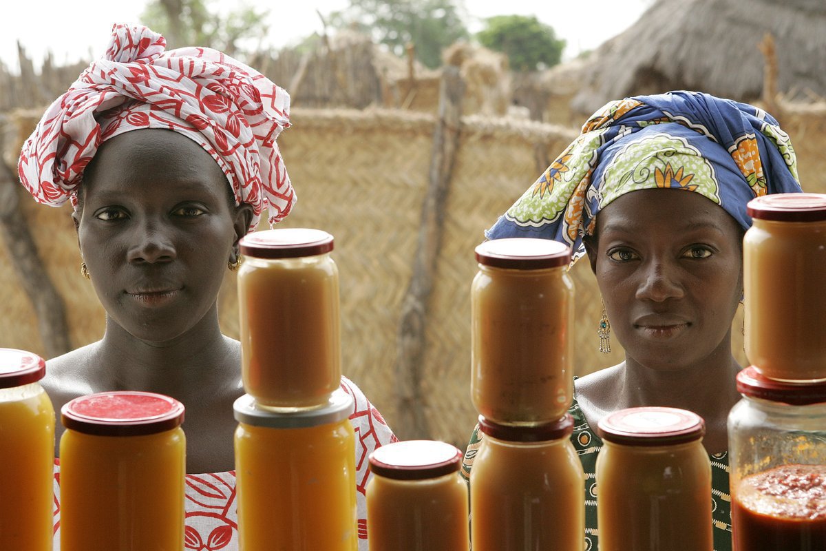 ONU_fr tweet picture