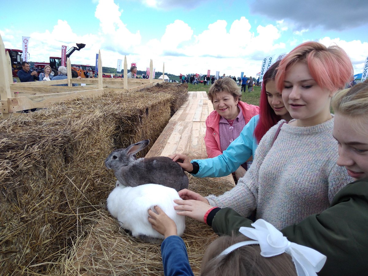 NovTexBio's tweet image. Посетили село Спасское. День поля 2019! Интересно, познавательно, красиво! @min_obr_to  @AASheveleva @Tularegion71