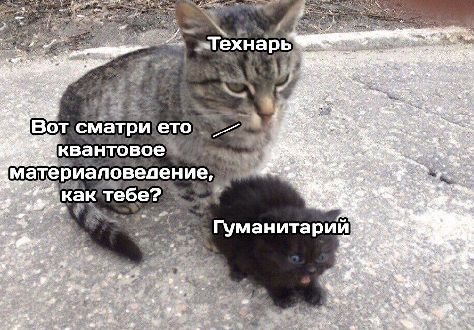 D-ykOhcXUAAvUNv?format=jpg&name=medium