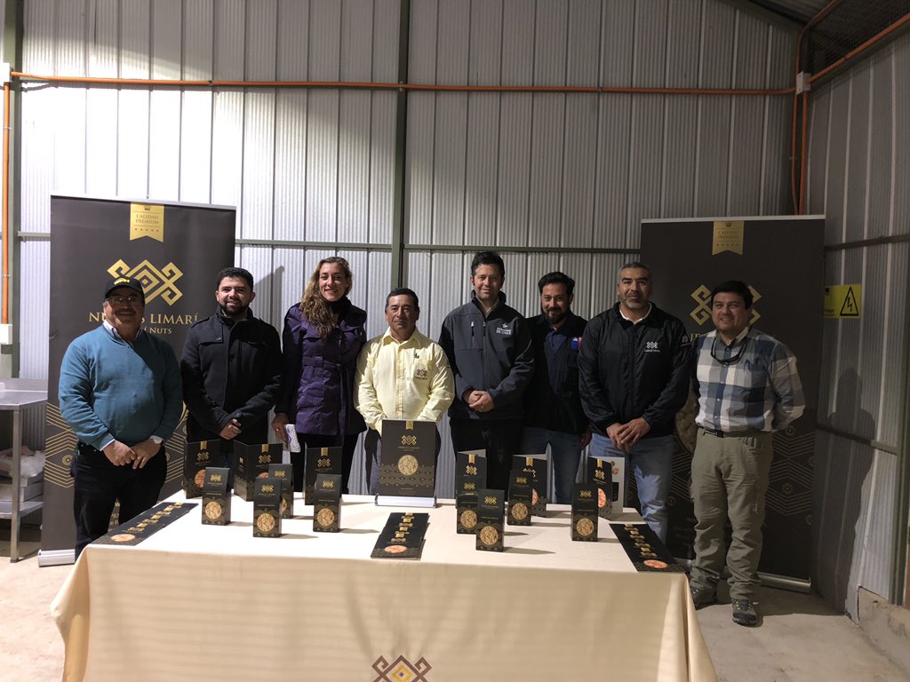 limari_nuts's tweet photo. Agradecidos de las visitas en el día de las Cooperativas,  Seremi de Economia, Aremi de Hacienda, jefe área INDAP Ovalle, Administrador Municipal Monte Patria @SeremiCoquimboE @SCT_COQUIMBO @carozamar @camilo_ossandon @Indap_coquimbo https://t.co/9d2bkhseRU