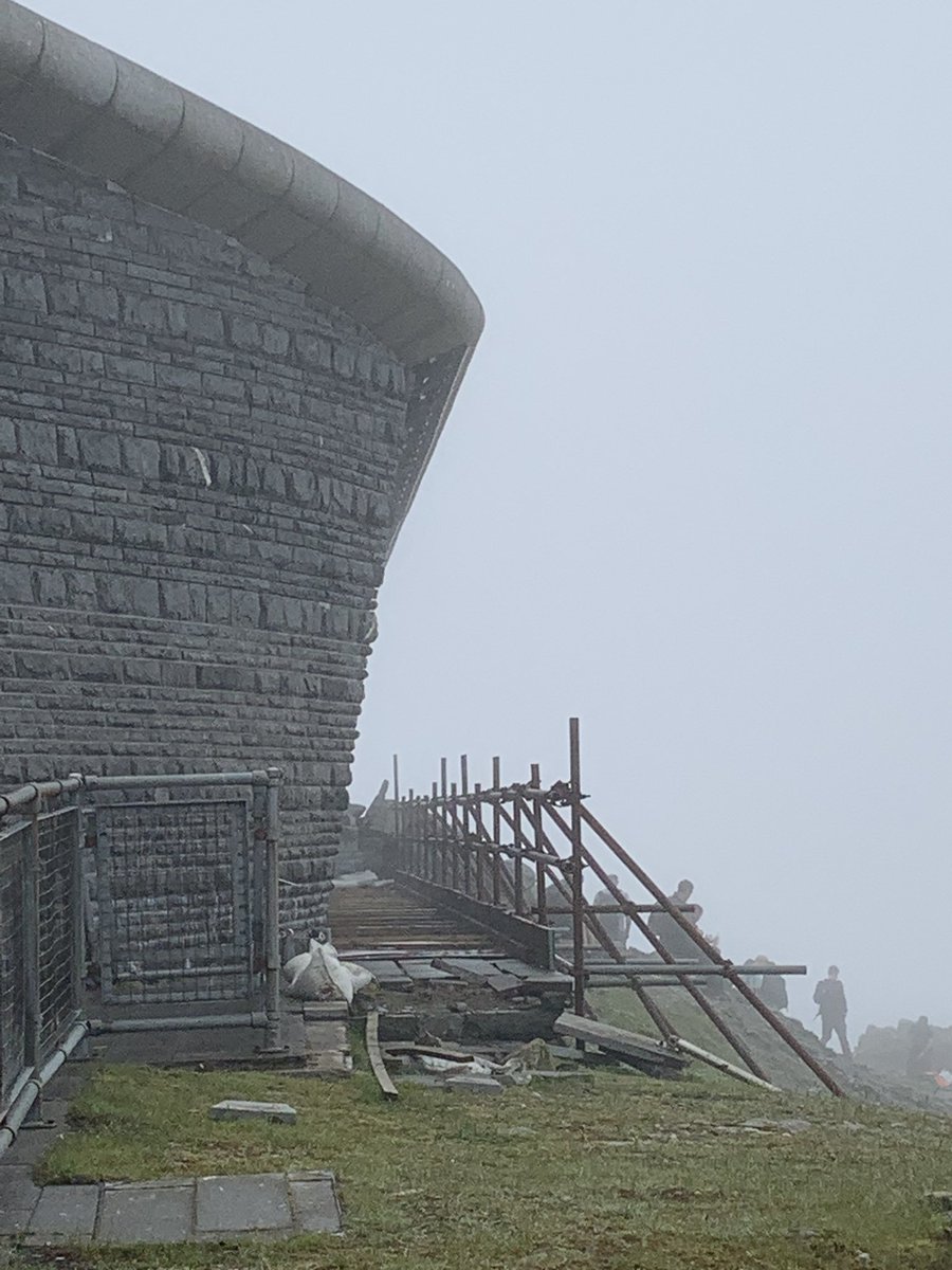 Lynne Thomas 🧣 tweet media